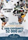 mineral-et-gem-2015-a-sainte-marie-aux-mines-41039-237-0.jpg